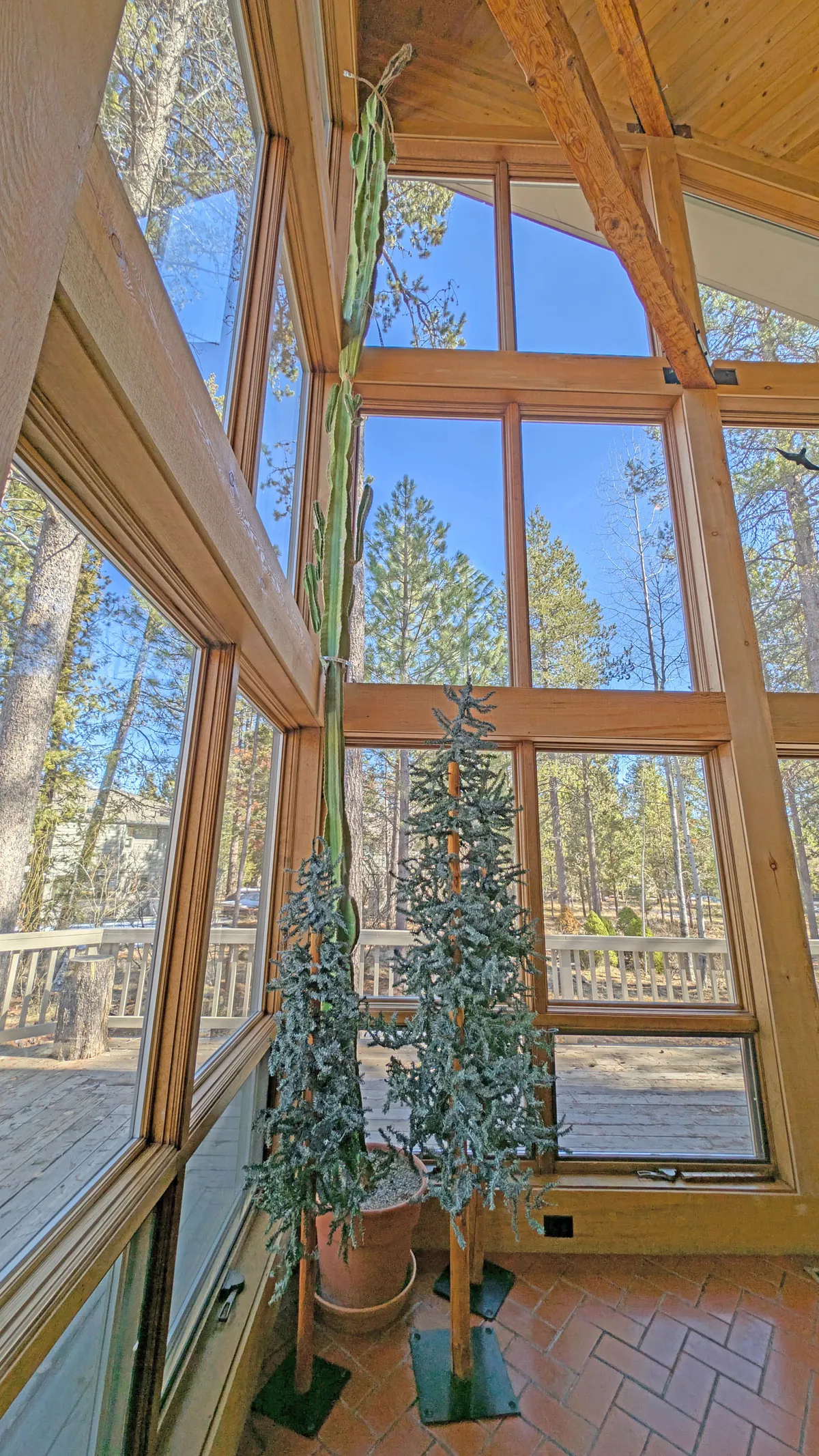 A spacious sunroom filled with natural light, featuring large windows that offer views of greenery outside. The room includes comfortable seating, a cactus plant, and decorative trees, creating an inviting transition space between indoor relaxation and the outdoors.